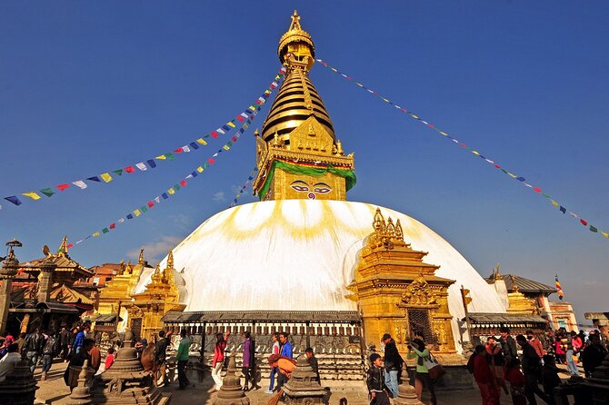 1 Day Kathmandu Valley Sightseeing Tour - Included Services
