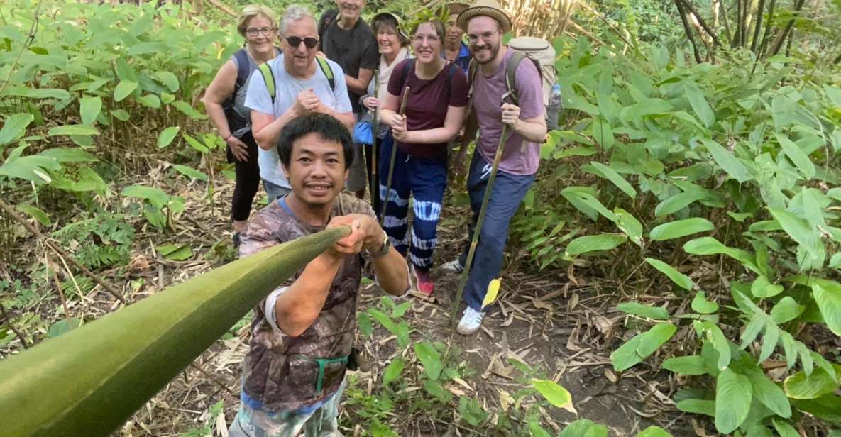 1 Day Trekking : Chiang Rai Popular Activity,Fun in Nature. - Tour Description