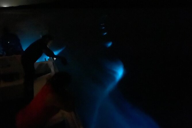 1-Hour Bioluminescent Boat Tour in Mosquito Bay, Vieques - Reviews and Ratings