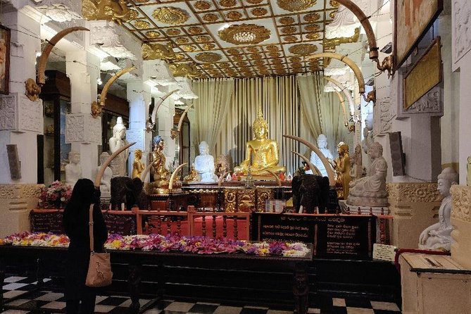 10 Day Round Tour in Sri Lanka - Cultural Experiences
