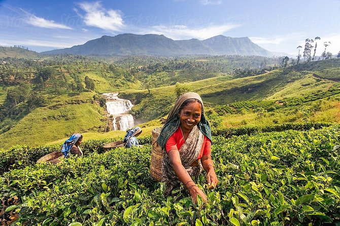 10 Days;Best Touch Of Sri Lanka - Itinerary Highlights