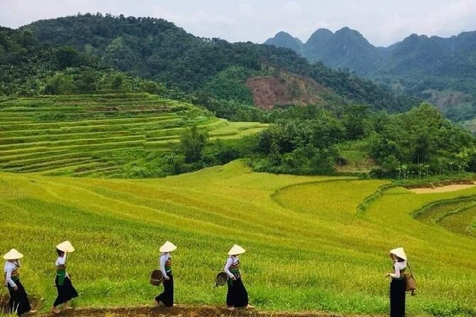 15-Day Vietnam Itinerary All in One | Travel Package -2025 - Included Amenities