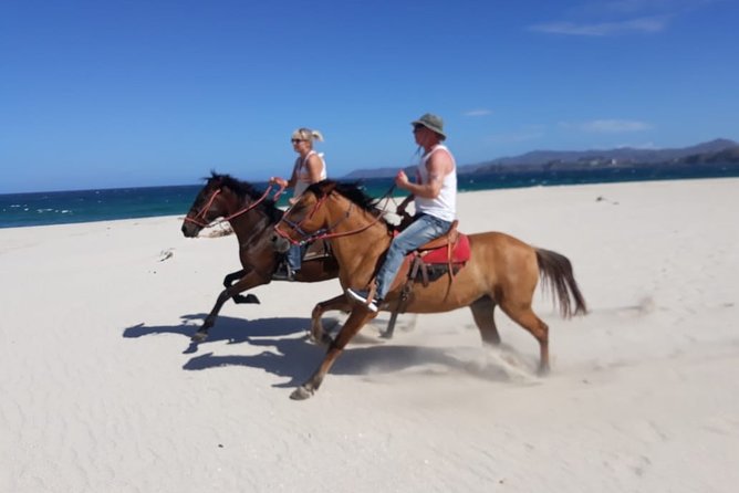 1,5 Hours Private Horseback Riding Tour in Playa Conchal - Tour Inclusions and Accessibility