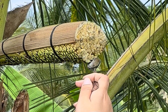 2-Day Mekong Delta Escapade From Ben Tre to Tra Vinh - Additional Tour Information