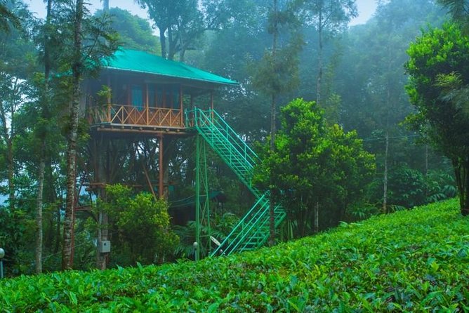 2 Nights Munnar Treehouse Escape With Private Car- Iris Holidays - Transportation Overview