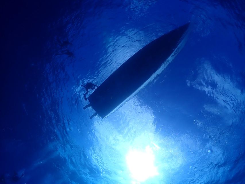 2 Tank Morning Cozumel Dives for Certified Divers - Inclusions