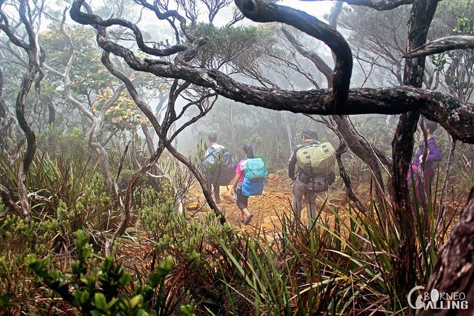 2d1n Mount Kinabalu Via Ferrata - Walk The Torq - Pick-up and Start Time