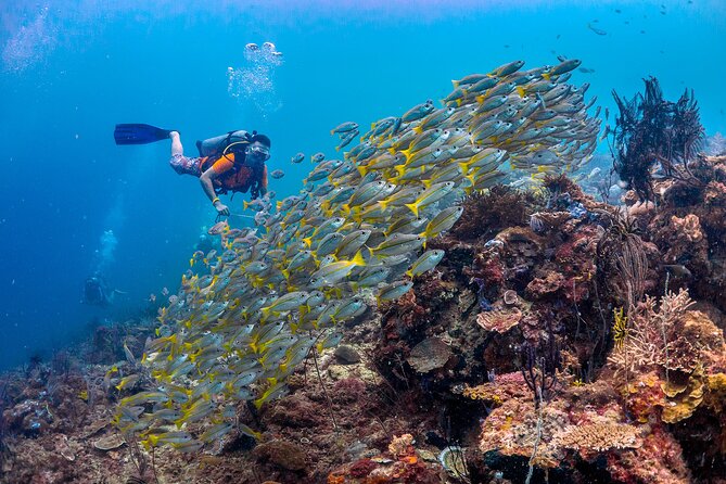 (3 Days) PADI Open Water Diver Course Kota Kinabalu - Included Amenities