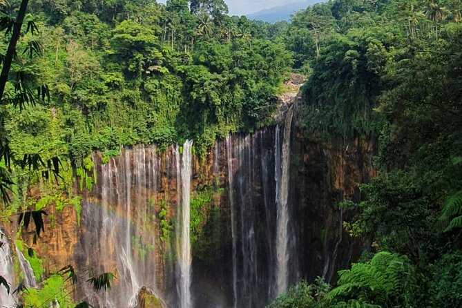 3 Days - Tumpaksewu Bromo Ijen Adventure via Malang - Confirmation and Accessibility Details
