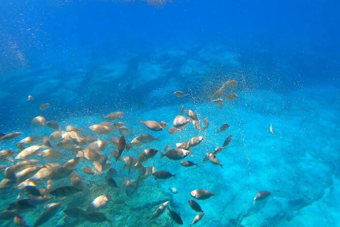 3-hour Guided Submarine Tour in Saint Pauls Bay, Lindos and Navarone Bay - Stops and Landmarks