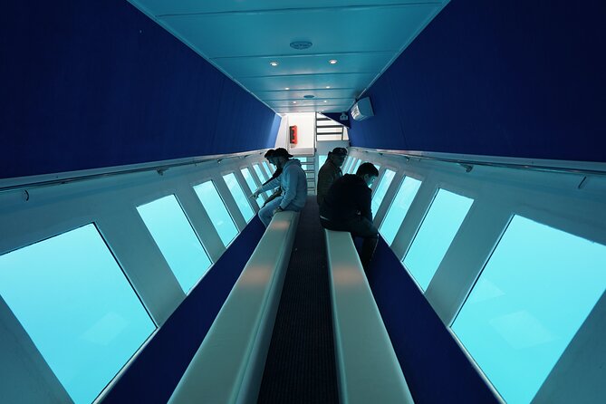 3 Hour Yellow Semi Submarine Swimming Cruise With Drinks Included! - Inclusions in the Package