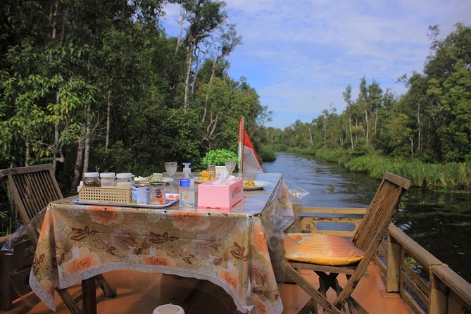 4-Day Private Orangutan and Bornean Primates Tour From Pangkalanbuun - Itinerary and Activities