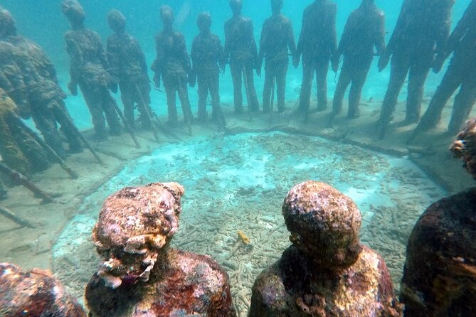 4-Hour Snorkel Cruise to Underwater Sculptures With Boat Dogs - Spot Marine Life Wonders