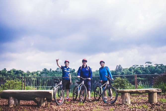 4 Hours Cycling in the Nature at Pulau Ubin Singapore - Meeting and End Points