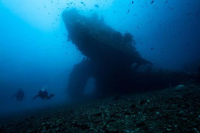 7 Fun Dives in Tulamben (For Certified Divers) - Premium Value Package - Dive Highlights