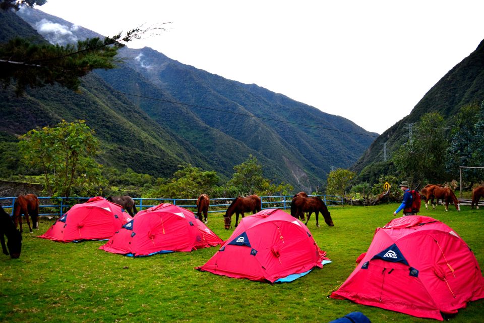 8 Day Cusco and Salkantay Trek to Machu Picchu - Arrival and Acclimatization