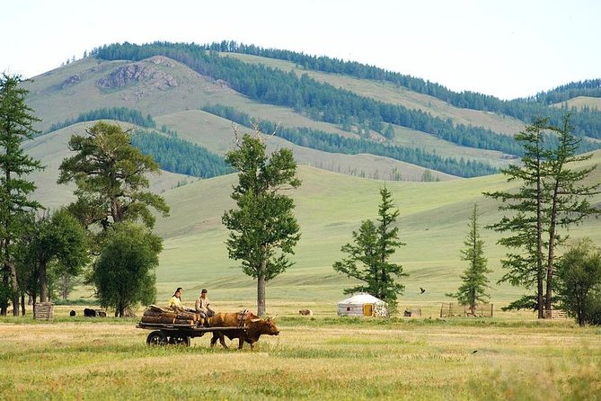 A Day Trip to Terelj National Park and Statue of Chinggis Khan - Highlights of the Excursion