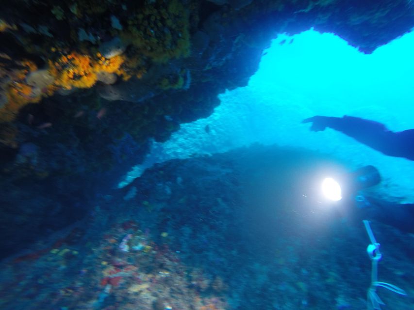 Aci Castello Scuba Diving for Beginners Visit to the Castle - Pricing and Booking