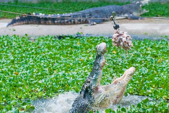 Adventure Combo - Crocodile Adventureland Opening Hours