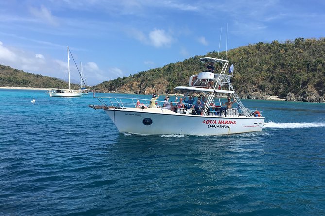 Afternoon Snorkeling Adventure in St Thomas - Exploring the Abundant Marine Life