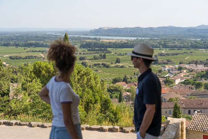 Afternoon Wine Tour to Chateauneuf Du Pape From Avignon - Tour Meeting/Pickup