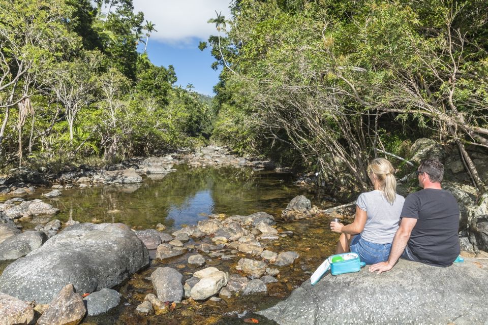 Airlie Beach: Segway Rainforest Discovery Tour - Pricing Details