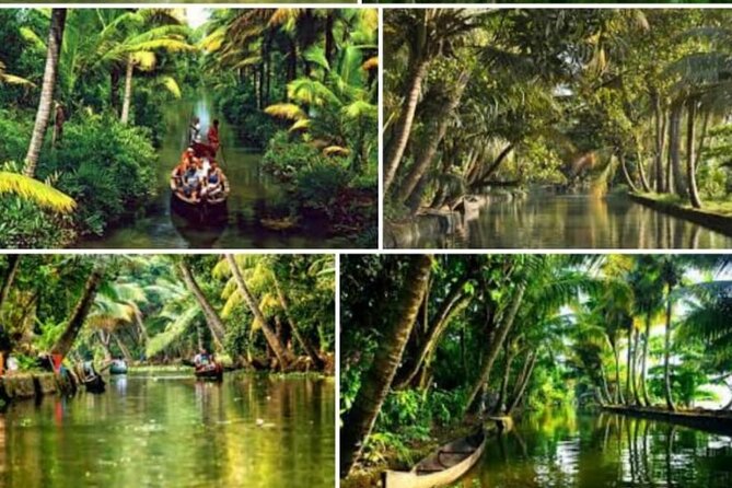 Alasr Lakeview Cruise / Hourly Trips to the Backwaters of Alleppey - Meeting and Pickup Details
