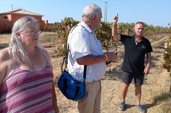 Albufeira Tour: Winery Wine and Tapas Boards - Inclusions and Highlights