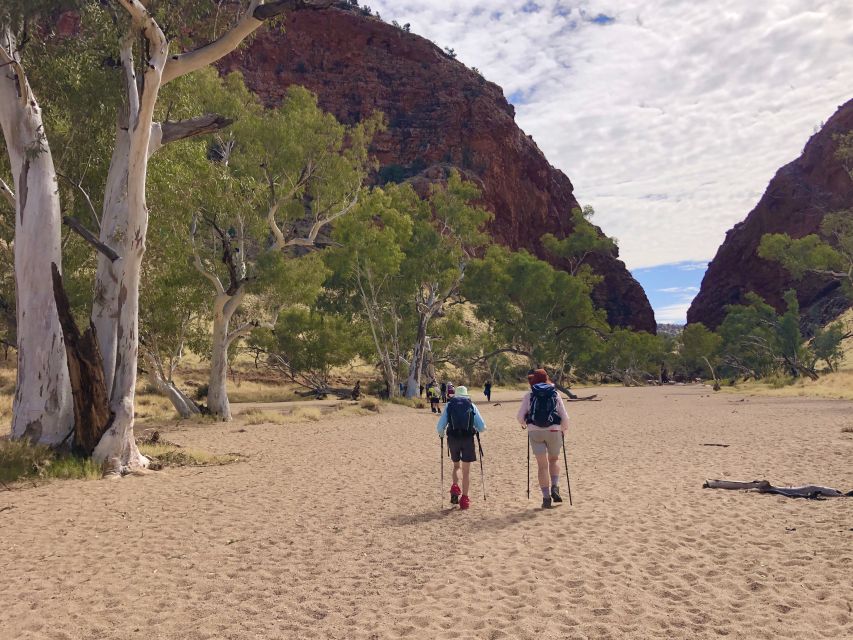 Alice Springs: Simpsons Gap Sunset Watercolor Painting Class - Experience Highlights