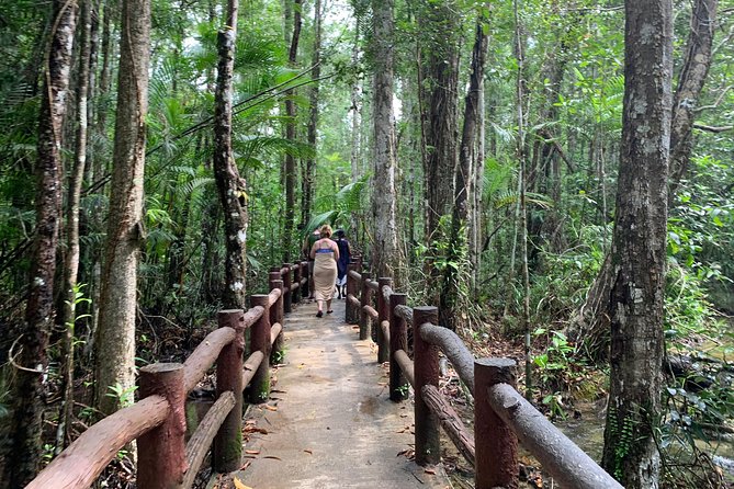 All Day Krabi Jungle Tour (Hot Spring Water, Emerald Pool, Tiger Cave Temple) - Pickup and Drop-off