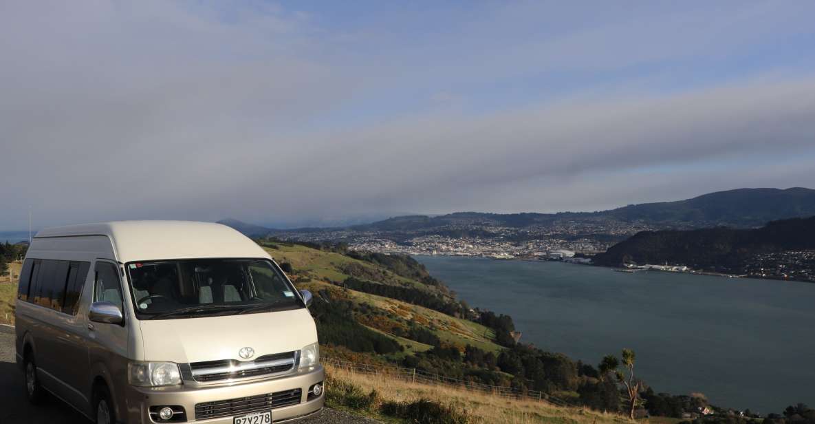 All in Dunedin - Nature & City Tour - Booking Information