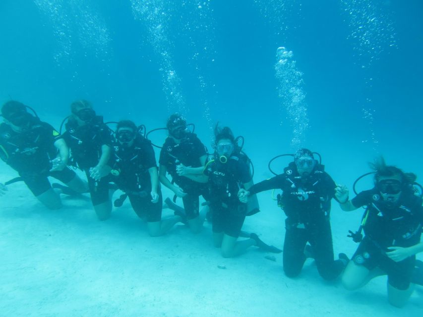 All Inclusive Fun Dive At Menjangan Island - Included in the Package