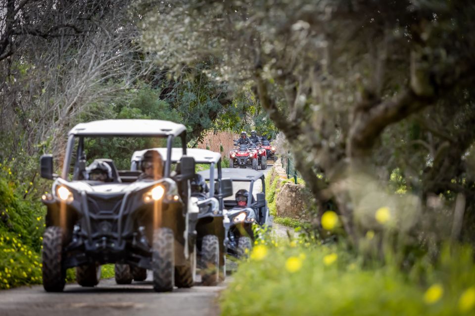 Almancil: Algarve Guided Off-Road Buggy Adventure - Panoramic Views of Cerro