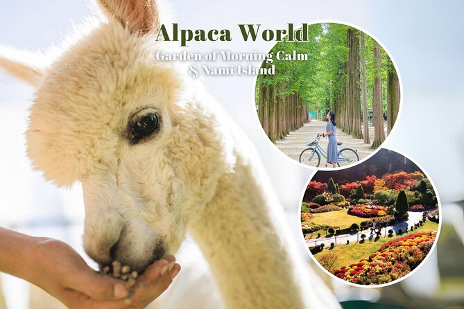 Alpaca World & Nami Island & Garden of Morning Calm One Day Tour - Inclusions