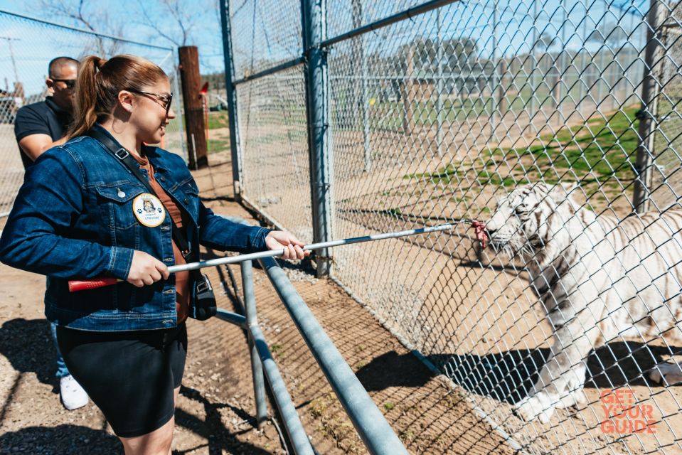 Alpine: Lions Tigers & Bears Sanctuary Visit and Feeding - Highlights of the Sanctuary