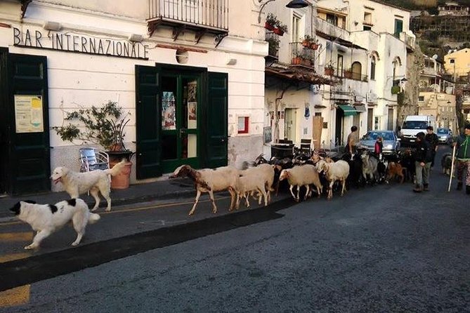 Amalfi Coast Tour - Transportation and Pickup Options