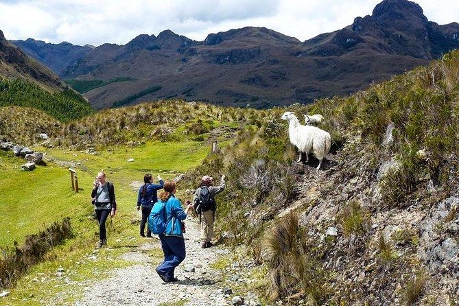 Amazing Cajas National Park Tour From Cuenca - Health and Safety Guidelines