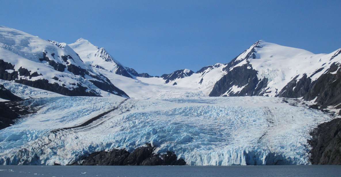 Anchorage: Glacier and Wildlife Explorer Cruise - Pricing and Duration