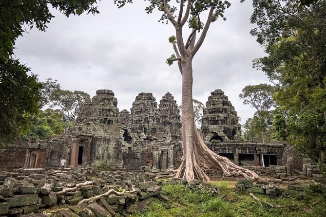 Angkor Sunrise Tour by Bike With Breakfast, Lunch & Tour Guide - Included in the Tour