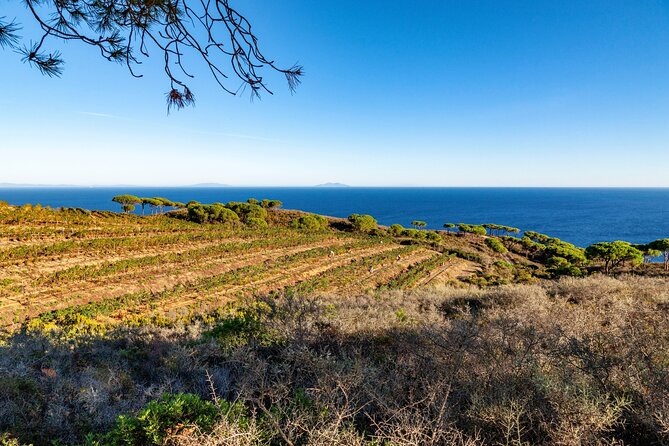 Aperitif on the Roof-Top Terrace at Tenuta Delle Ripalte - Breathtaking Tuscan Archipelago Views