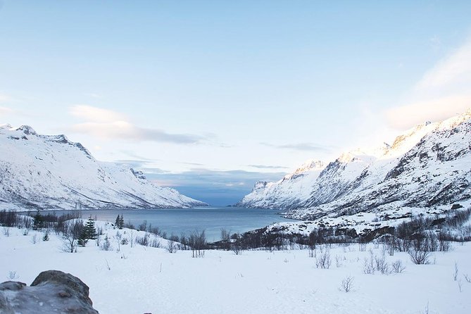 Arctic Fjords Road Trip - Meeting Point and Pickup Details