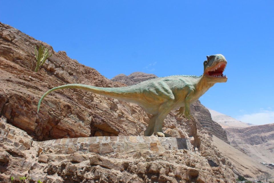 AREQUIPA: Dead Bull Petroglyphs and Dinosaur Footprints - Dinosaur Footprints at Qerullpa