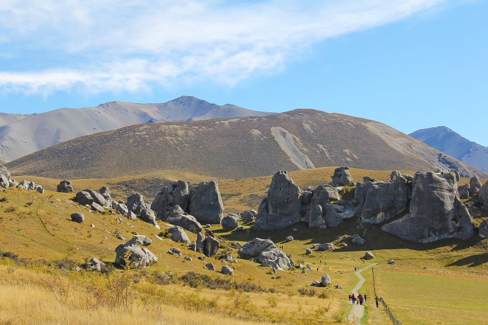 Arthurs Pass: TranzAlpine Train and Castle Hill Day Tour - Pricing and Inclusions