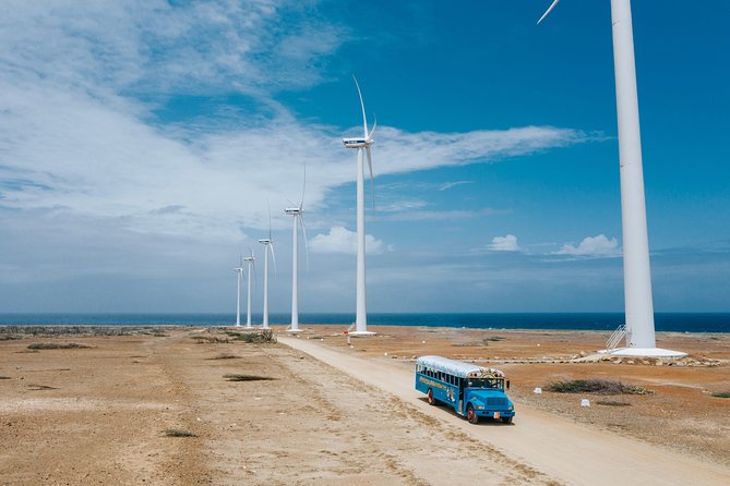 Aruba Beach and Cave Island Tour - Included Amenities