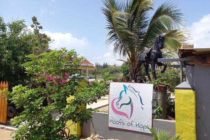 Aruba's Ecological Trails and Urirama Beach Ride. - Observing Local Wildlife