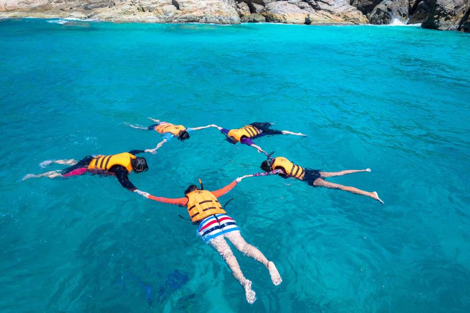 Auckland: Guided Snorkeling Tours - Booking Information