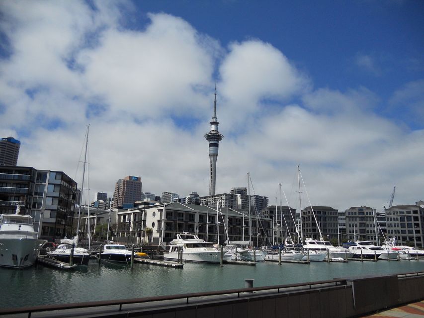 Auckland Self-Guided Audio Tour - Activity Description