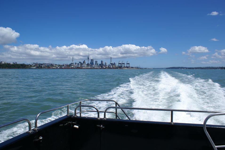 Auckland: Tikapa Moana Whale and Dolphin Wildlife Cruise - Booking Information