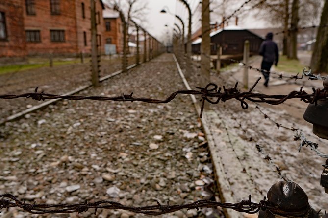 Auschwitz-Birkenau Guided Full-Day Tour From Krakow With Private Transport - Itinerary and Inclusions