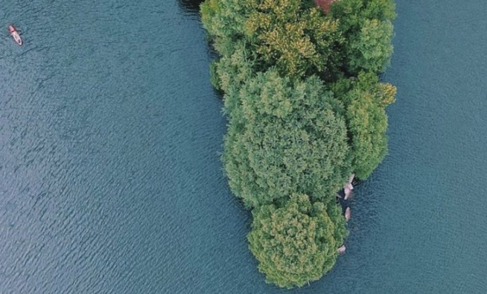 Austin: Round Red Bud Isle Kayaking Tour - Inclusions